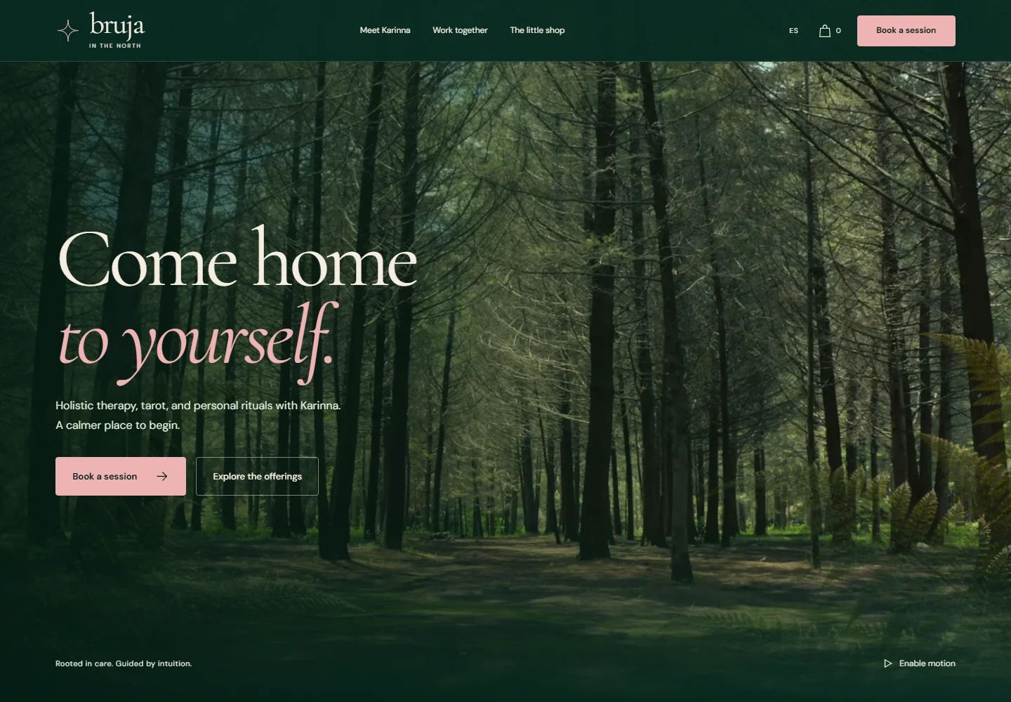 Karinna’s Therapy website preview